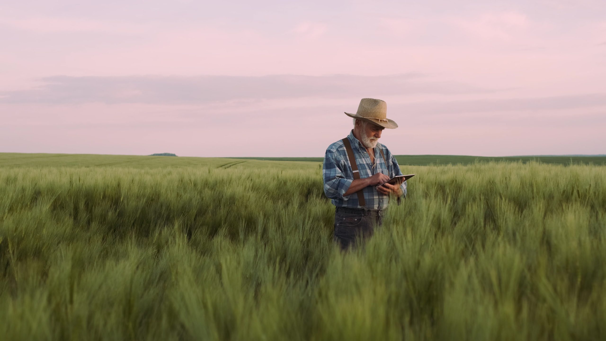 Farmer Uses A Digital Device. Agriculture, Farming Concept.