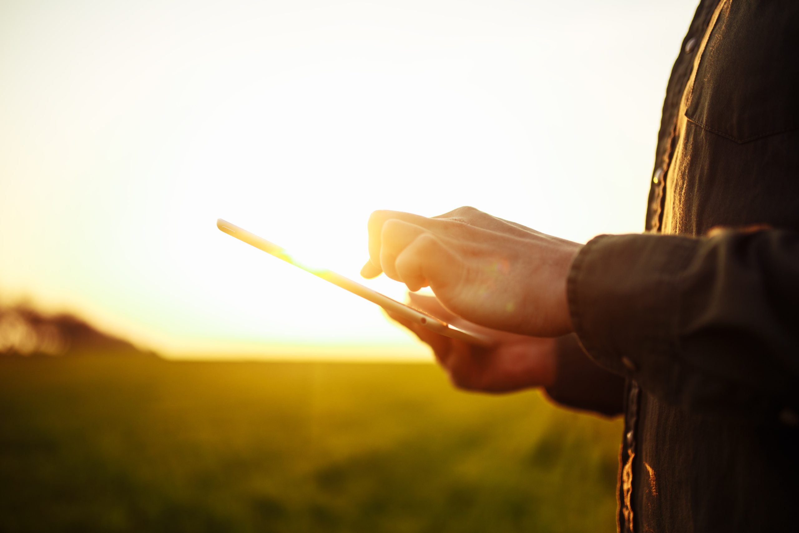 Closeup of young farmer's hands holding a tablet and checking the progress of the harvest at the green wheat field on the sunset. Worker tracks the growth prospects. Agricultural concept.